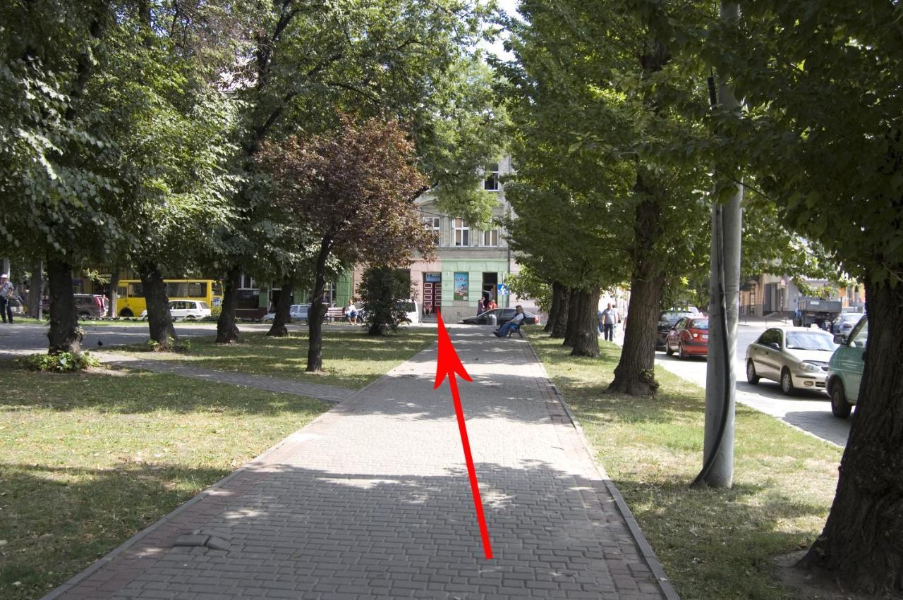 Hostel Drive Lviv Extérieur photo